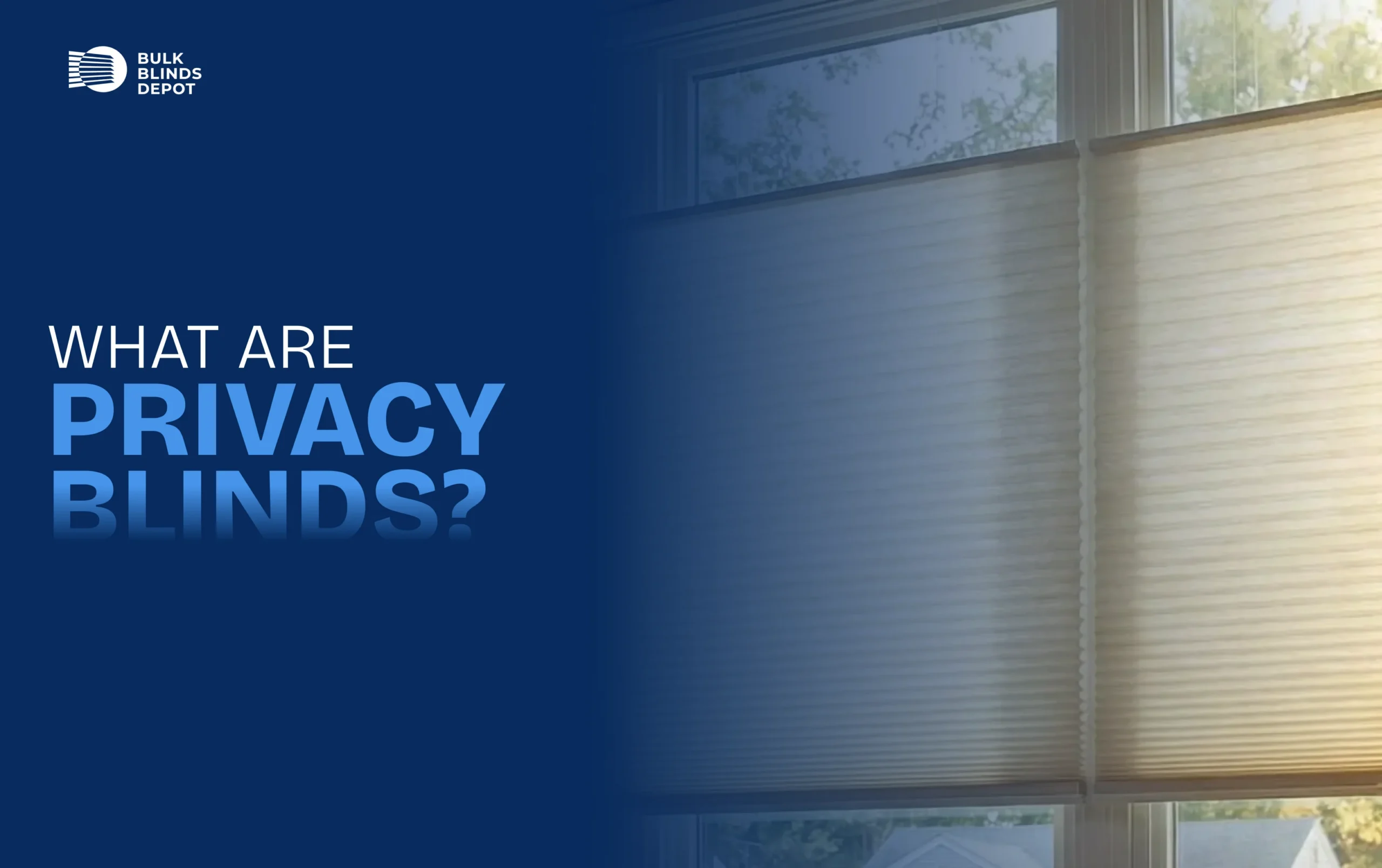 How Privacy Blinds for Windows Improve Aesthetics and Functionality